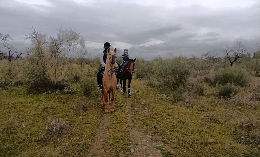 Image 2: Paseo a caballo de 1 hora con pincho y bebida para 2 o 4 personas