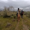Image 2: Paseo a caballo de 1 hora con pincho y bebida para 2 o 4 personas