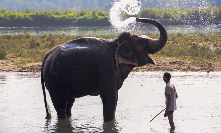 Image 6: Nepal: 10 dagen cultuur en natuur in de Himalaya