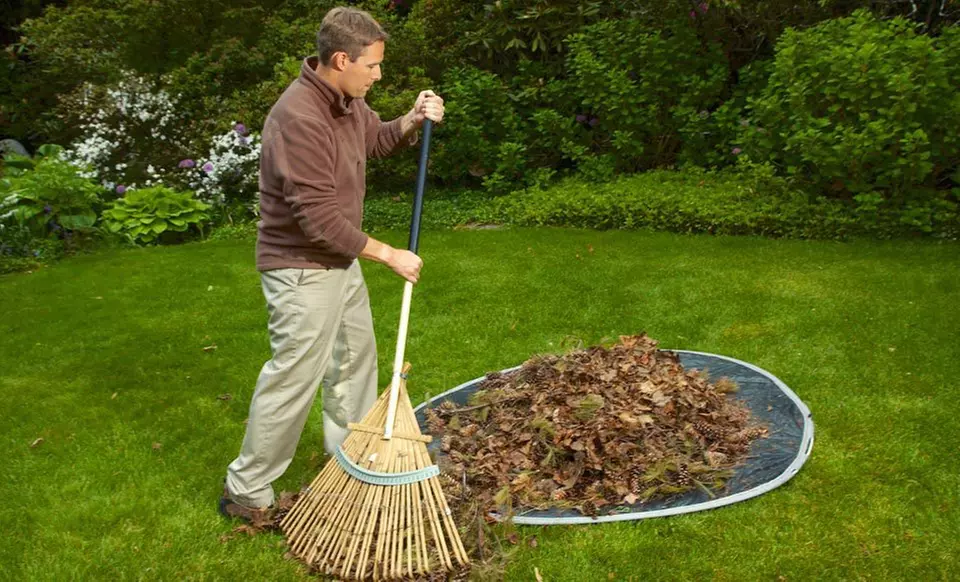 Yard Clearing Tools (Up to 50% Off). Two Options Available. Free Shipping for Purchases of $15 or More. Free Returns. - Primary Image