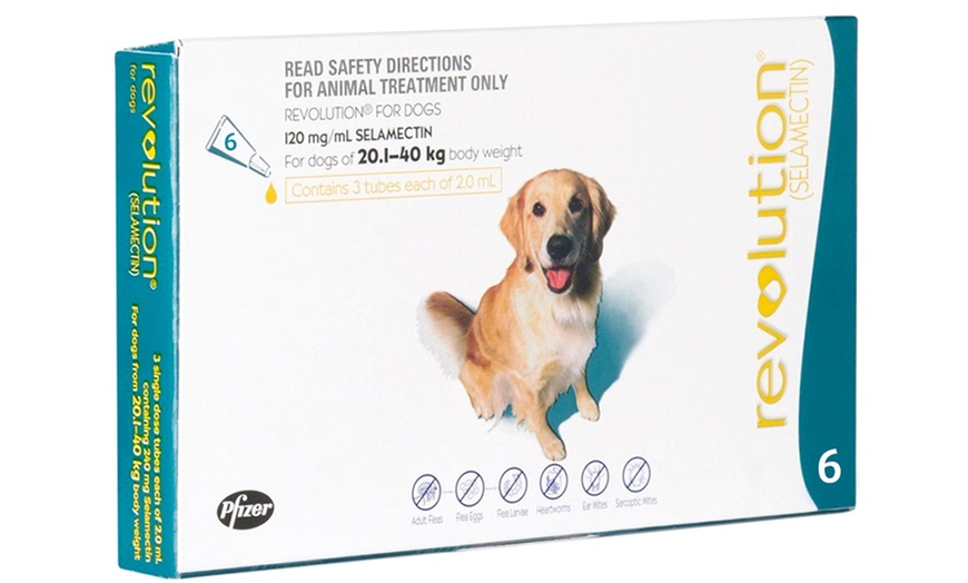 Image 3: Revolution® Flea Treatment 