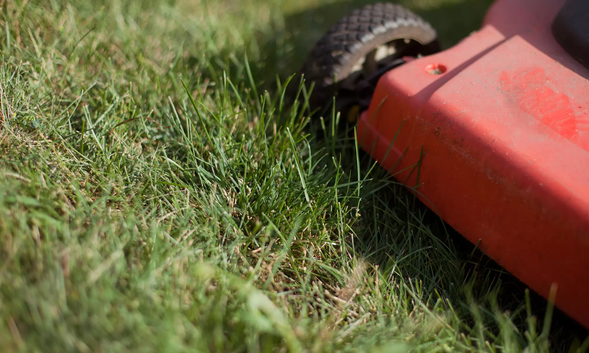Up to Two Hours of Mowing Services with Option for Hedge Trimming from CE Landscaping and Lawn Service (Up to 53% Off) - Primary Image