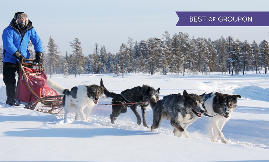 Image 1: Lapland Dog Sledding