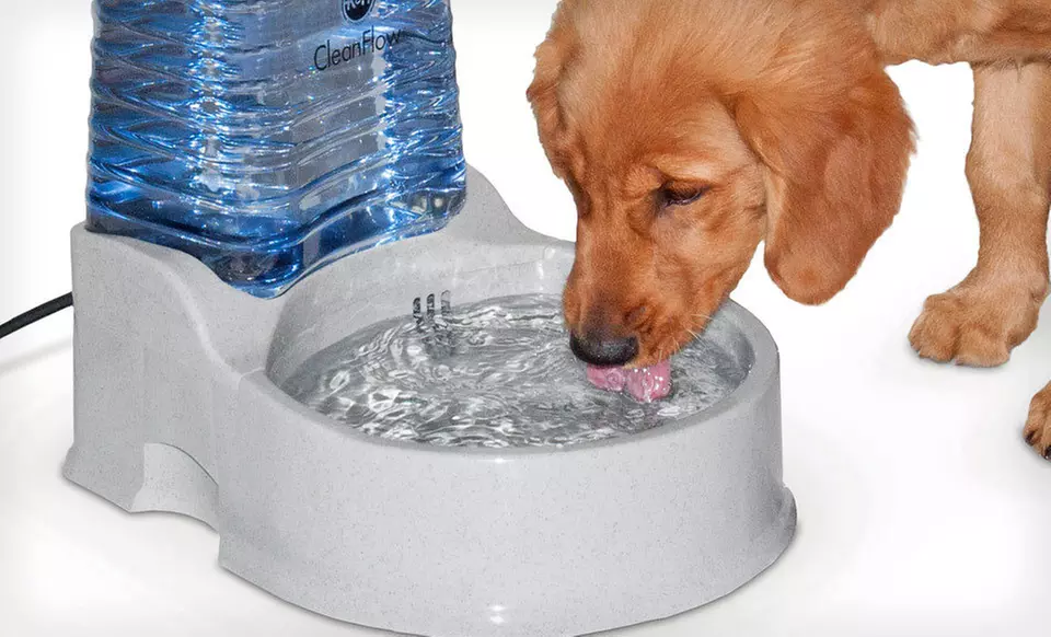 K&H Water Bowl for Cats or Small, Medium, or Large Bowl Kit for Dogs (Up to 63% Off). Free Shipping and Returns. - Primary Image