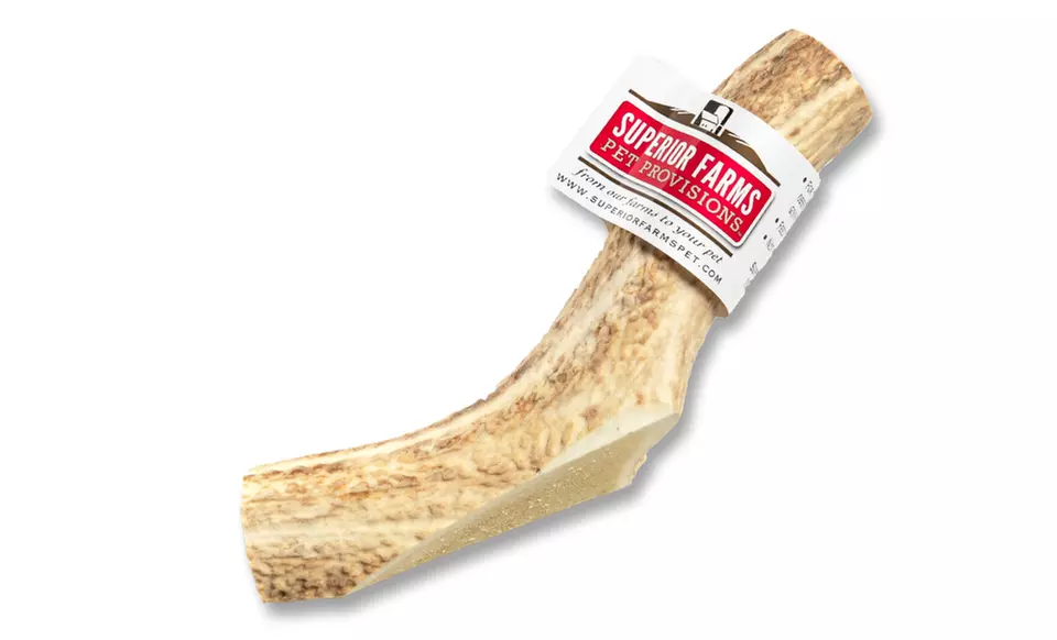 100% Natural Venison Antler Dog Chews. Multiple Sizes Available from $4.99–$11.99. Free Returns. - Second Medium