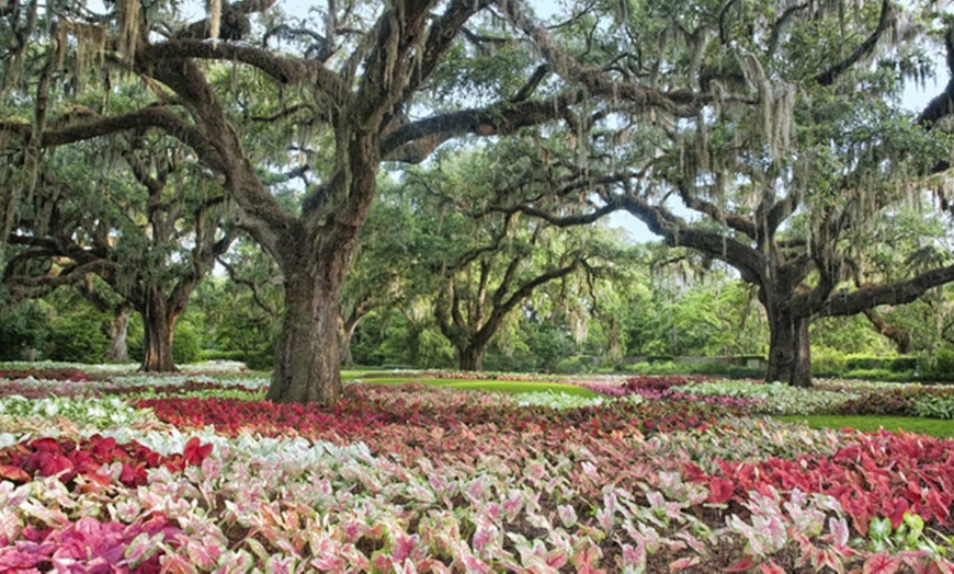 Brookgreen Gardens Visit - Brookgreen Gardens | Groupon