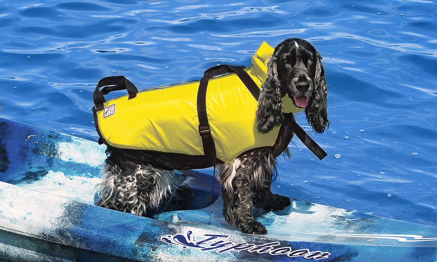 PetSafe Fido Float Dog Vest - Primary Image