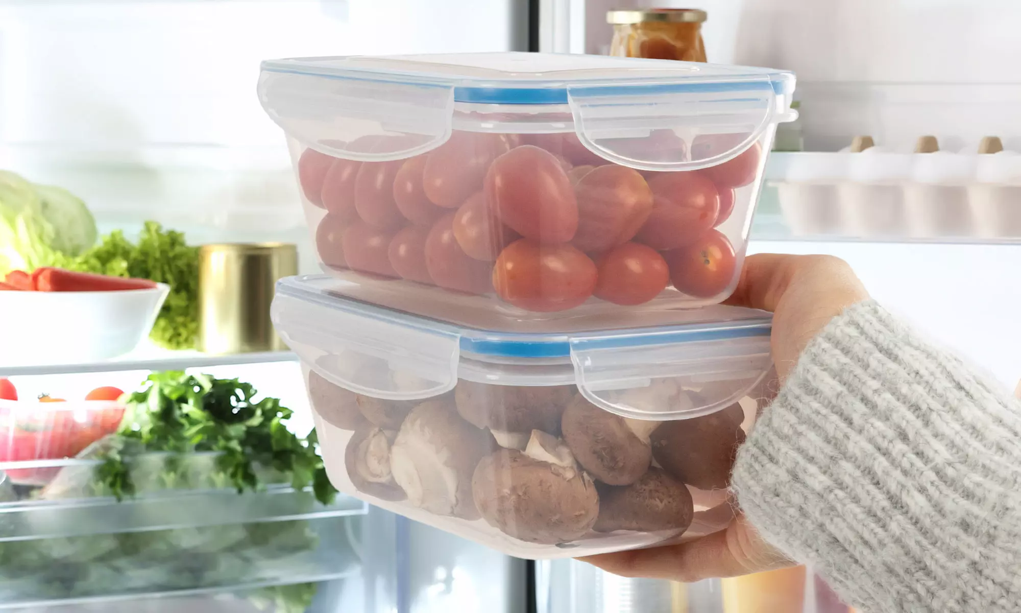 Fino a 14 contenitori per alimenti Classbach