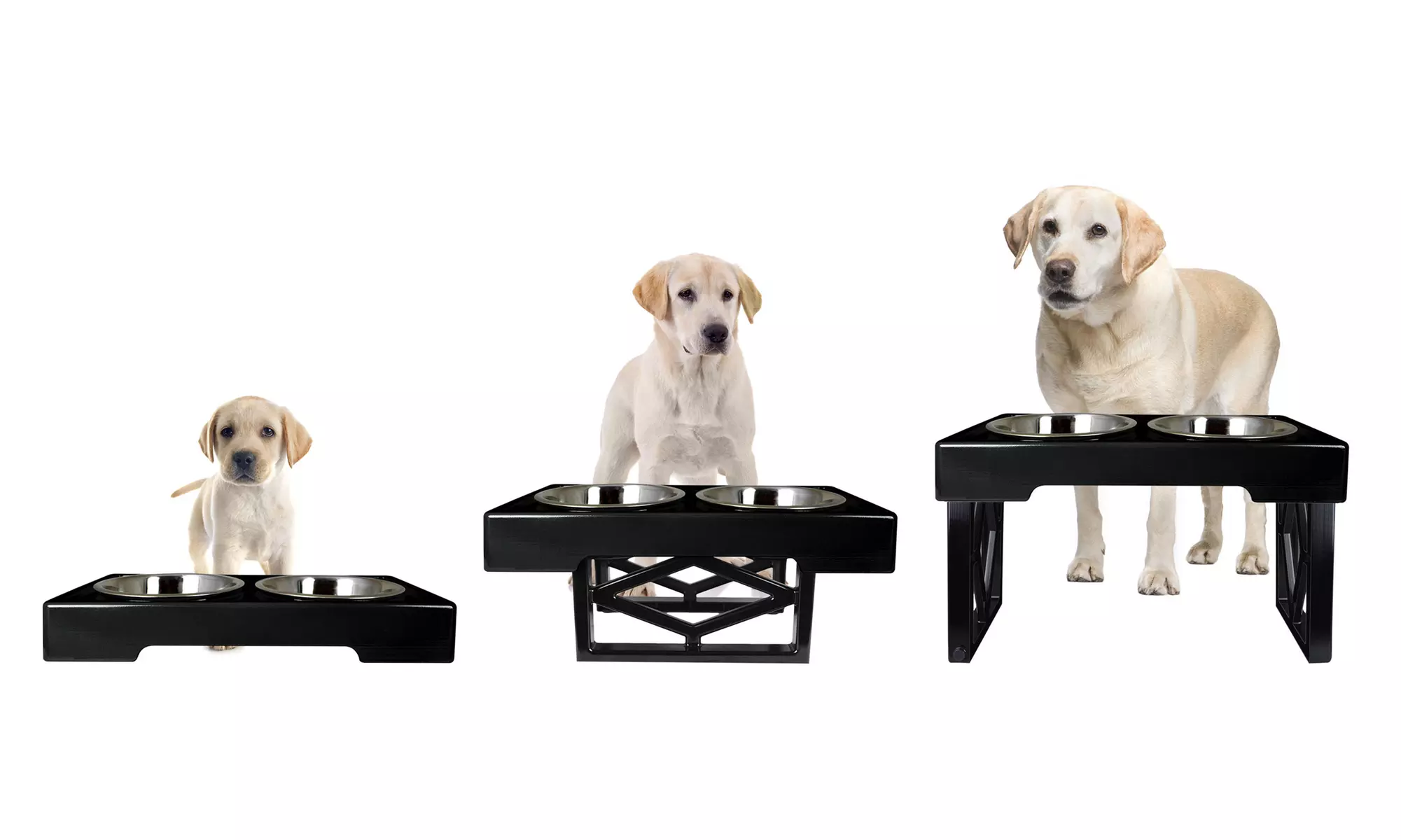 Pet Zone Designer Diner Adjustable Dog Feeder - Primary Image