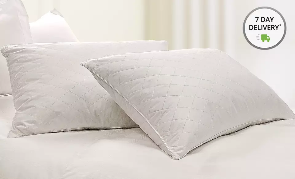 2-Pack of Club Le Med Back or Side Sleeper Pillows - Second Medium