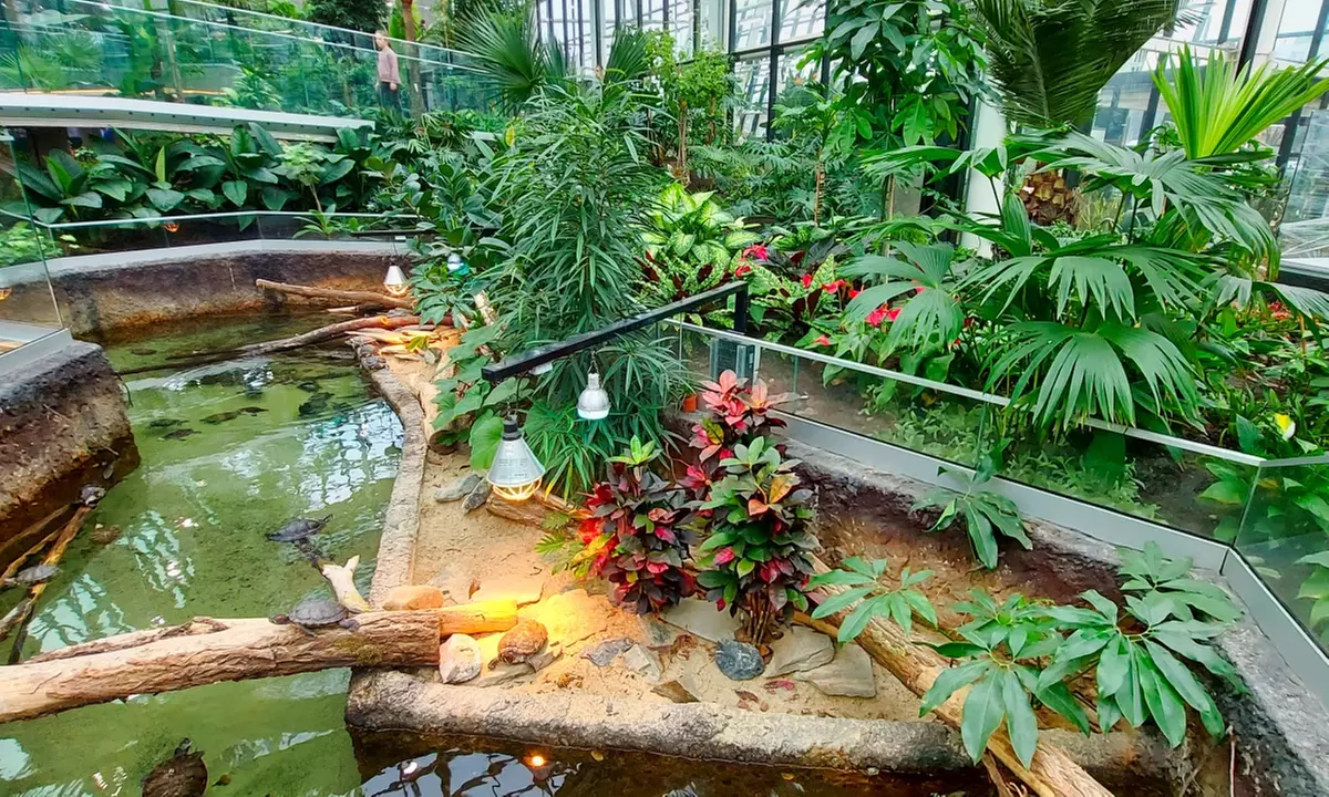 Zobacz z bliska egzotyczne rośliny i zwierzęta: bilety do Egzotarium