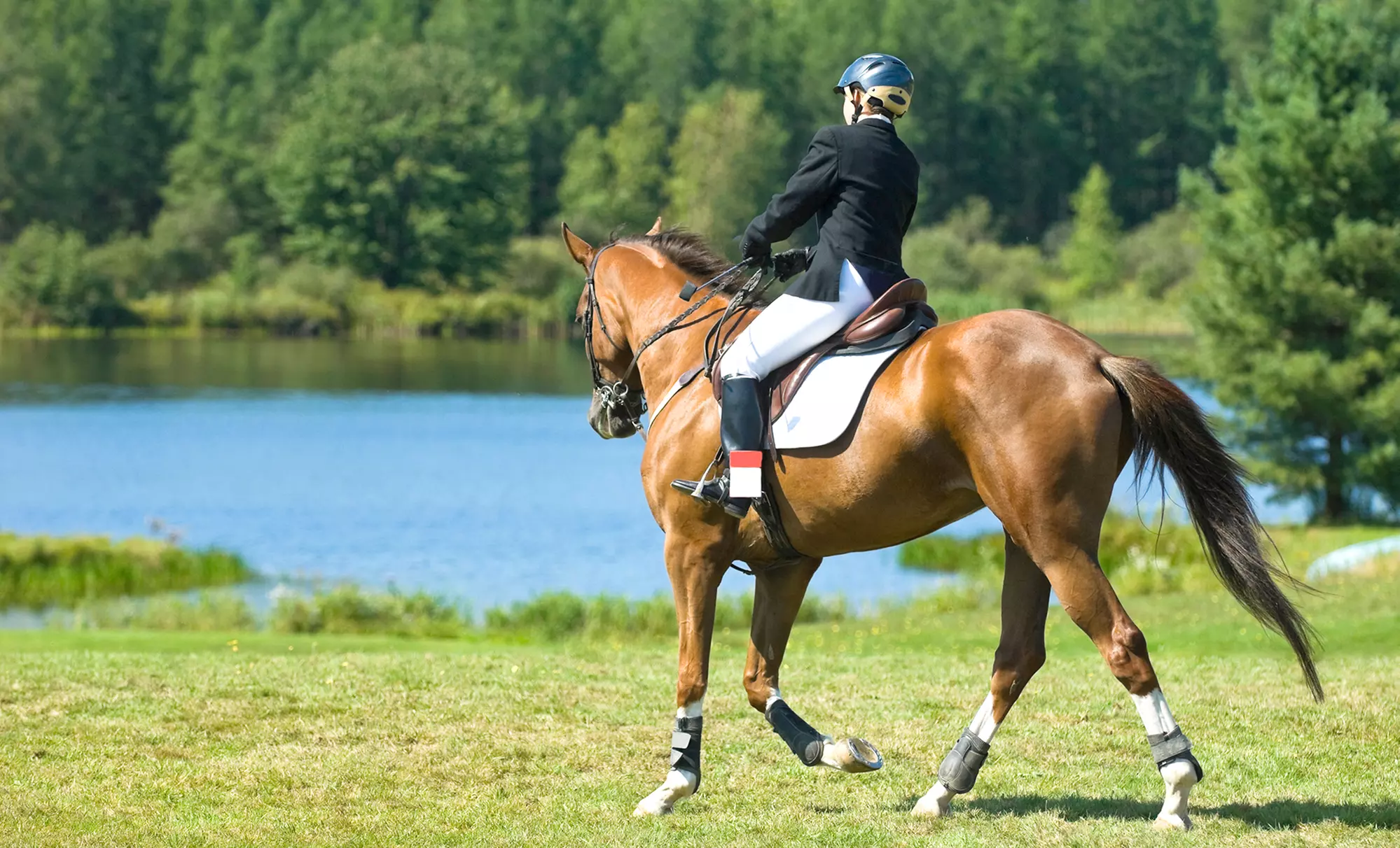 One, Three, or Five 60-Minute Private Horseback-Riding Lessons at Misfit Farm (Up to  53% Off) - Primary Image