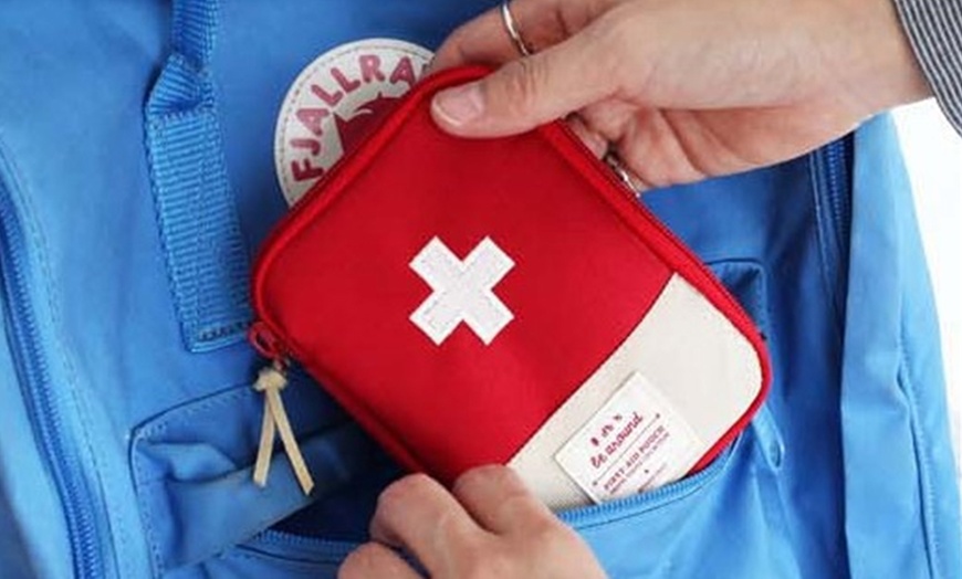 Image 6: Portable Emergency Medical Bag