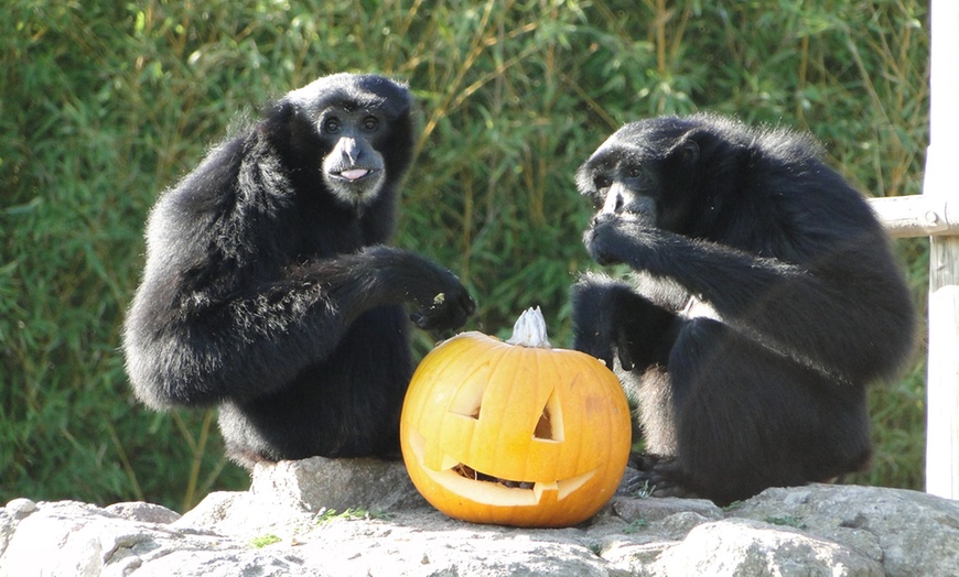 Image 11: Zoo de Fréjus : les animaux comme vous ne les avez jamais vus !