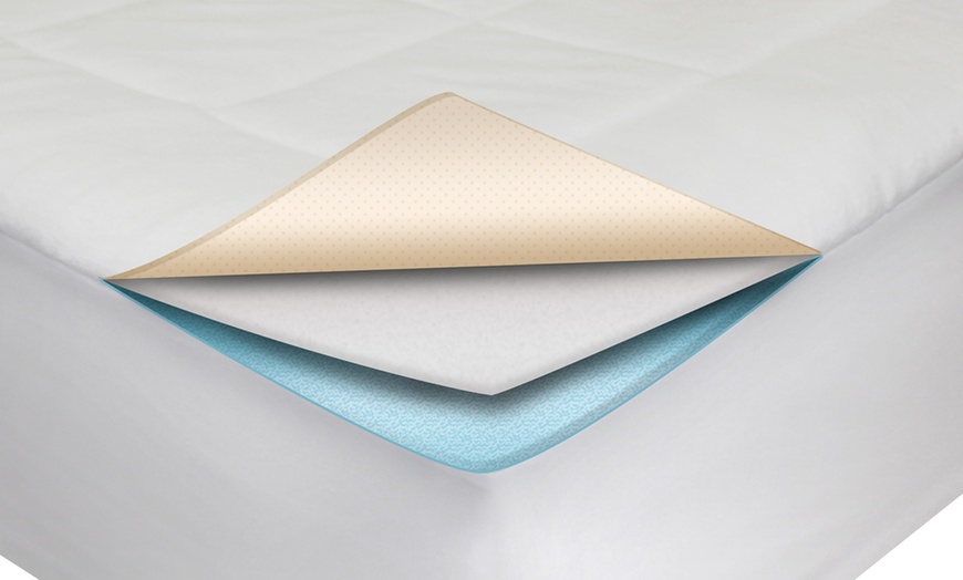 loftworks microplush soft mattress pad