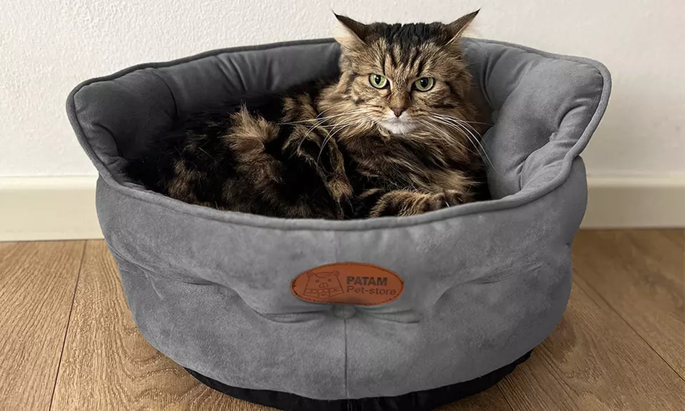 Cucce, lettini e divanetti per cani e gatti in vari modelli e misure