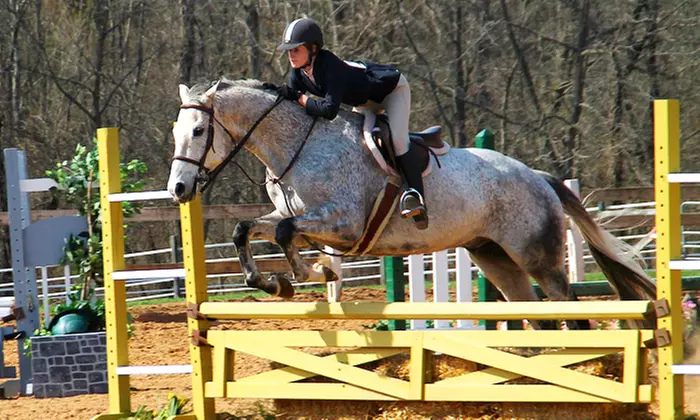 Two or Three 60-Minute Group Horseback-Riding Lessons at Encore Farms (Up to 49% Off) - Primary Image