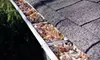 200 or 300 Linear Feet of Gutter Cleaning for a One-Story Home from Affordable Gutter Covers (Up to 64% Off)