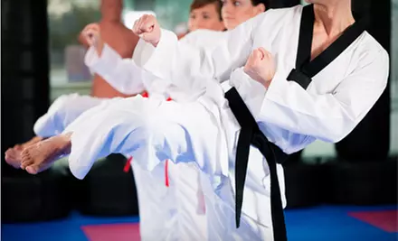 $49 for Six Weeks of Children's Kung Fu Classes with Uniform at Clear's Silat & Street Kung Fu ($222 Value) - Primary Image