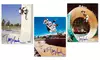 Hand-Signed Tony Hawk Collectible Photos
