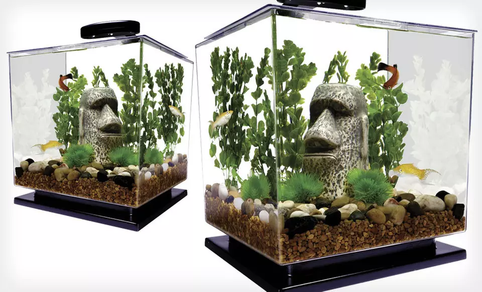 $27 for a 3-Gallon Desktop Fish-Tank Kit with LED Lamp ($39.99 List Price) - Primary Image