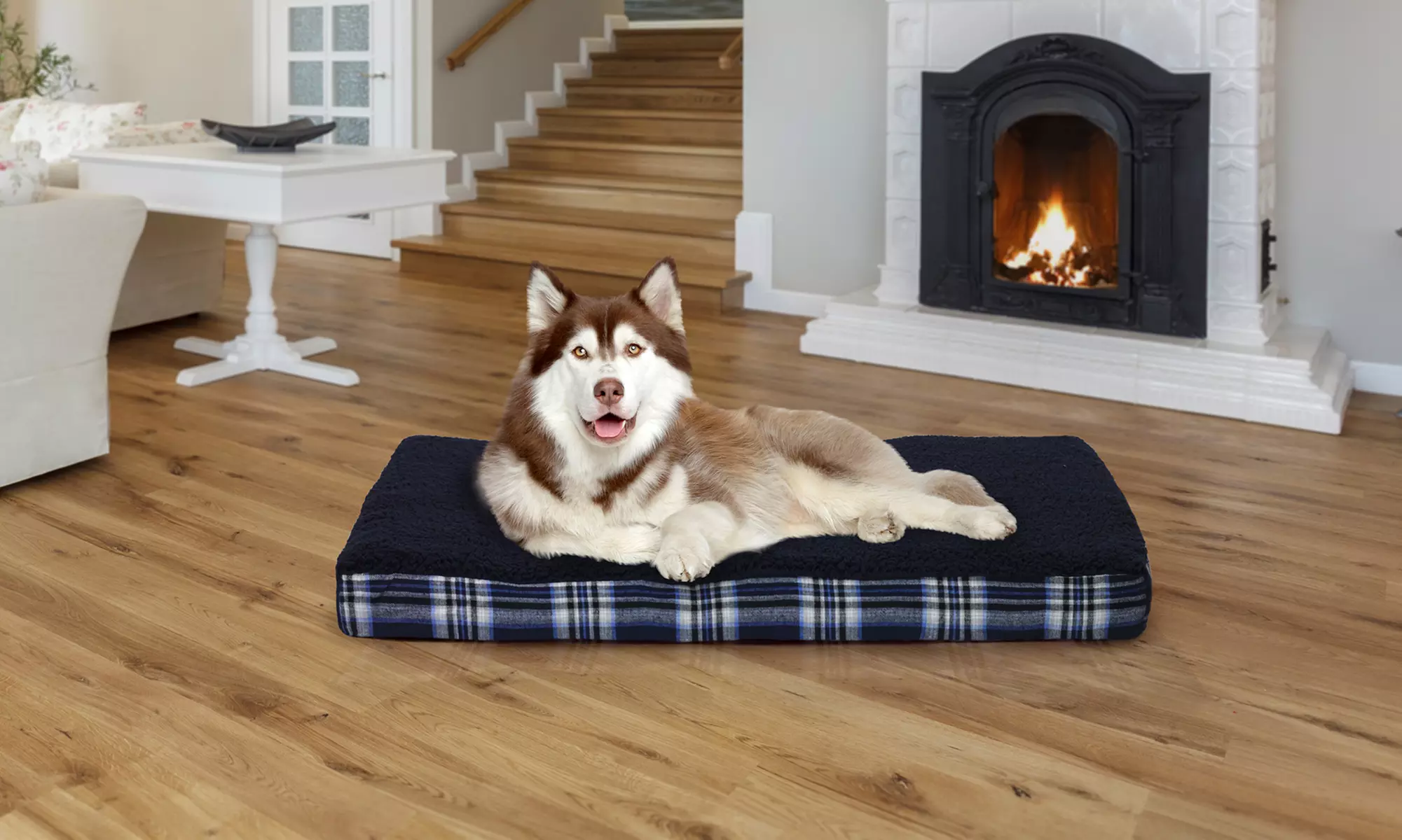 Furhaven Nap Orthopedic or Memory Foam Pet Bed  - Primary Image
