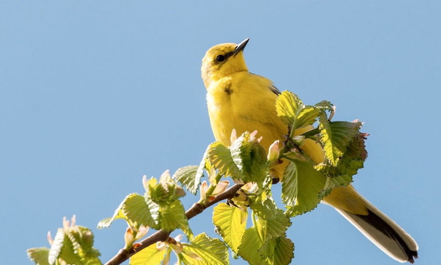 Image 10: Warwickshire Wildlife Trust Membership