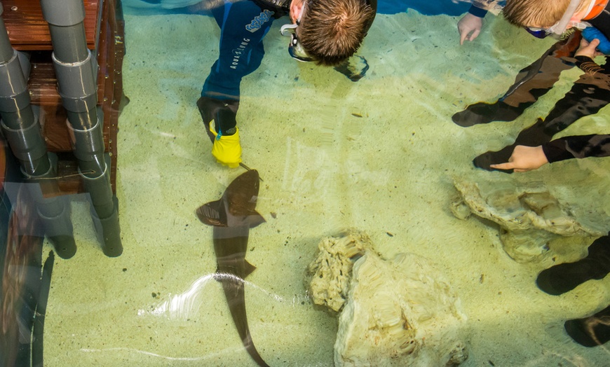 Image 11: Snorkelling with Aquarium Passes
