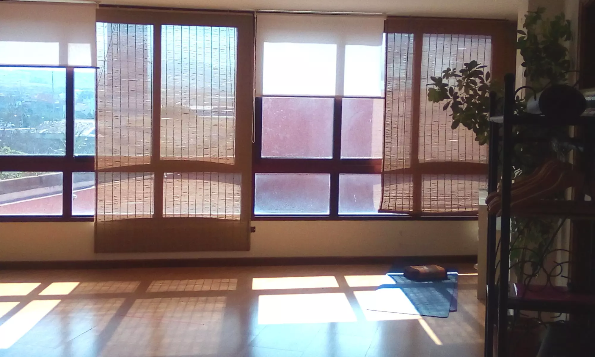 8 o 12 clases de yoga para 1 o 2 personas