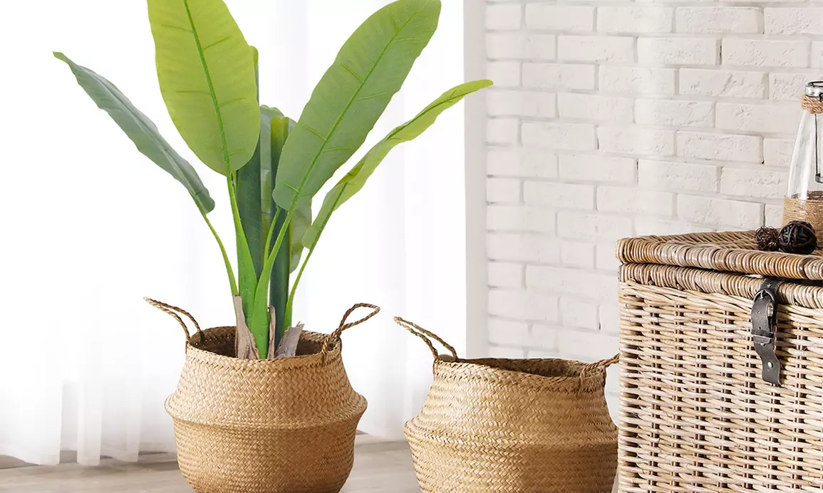 Collezione di piante finte da interno