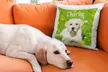 One, Two, Four, or Eight Personalized 14"x14" Cushion Covers from Printerpix (Up to 92% Off) - Second Medium