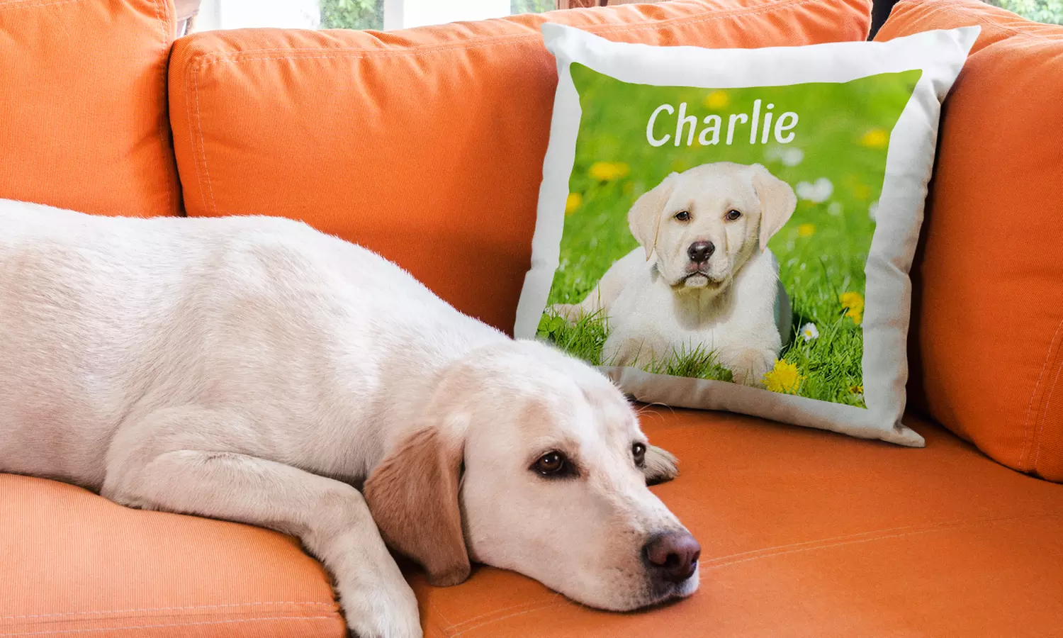 Personalized 14"x14" Cushion Covers from Printerpix (Up to 82% Off). Four Options Available. - Second Medium