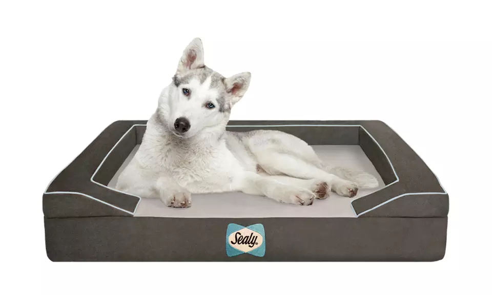 Premium Sealy Dog Bed - Primary Image
