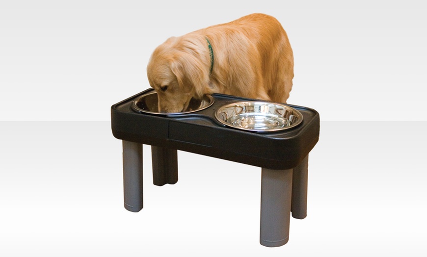 OurPet's Big Dog Feeder | Groupon Goods