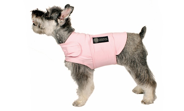 American kennel club anxiety on sale vest