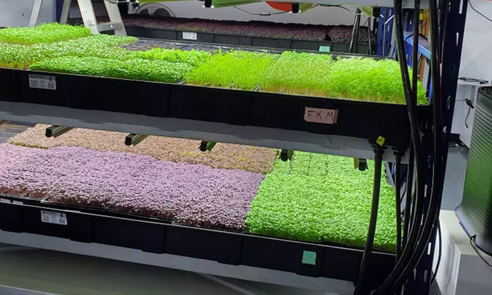 Half Day Aquaponics Training at The Urban Aquafarm & Training Center(Up to 30% Off) - Primary Image