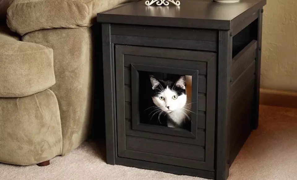 Spring Cat Litter Loo End Table - Primary Image