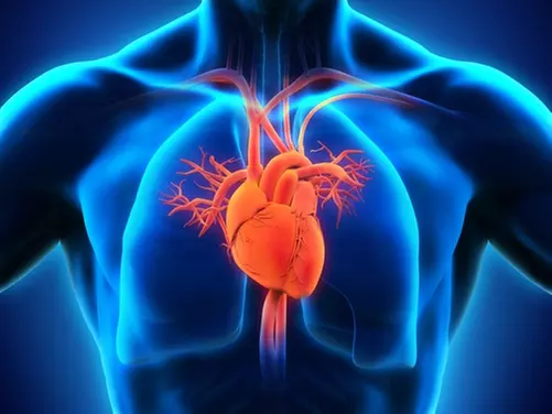 Heart-Healthy Duo: Heart Scan/Calcium Score and Consultation for Two 