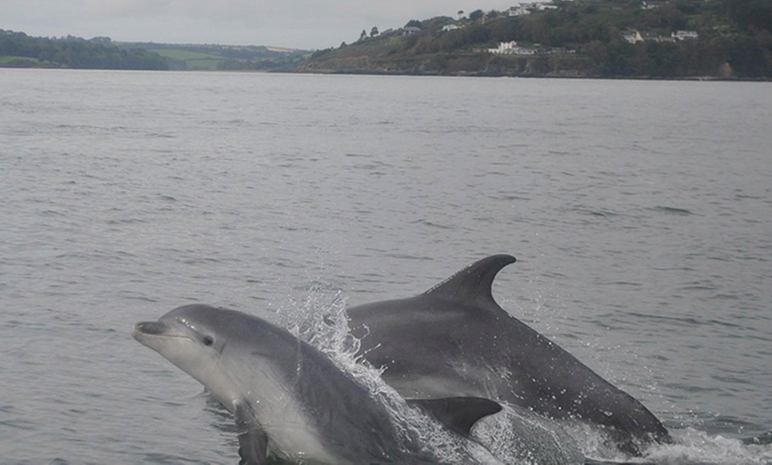 Image 4: High-Speed Power Boat Tour €21.99