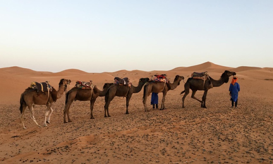 Image 5: Desert Safari