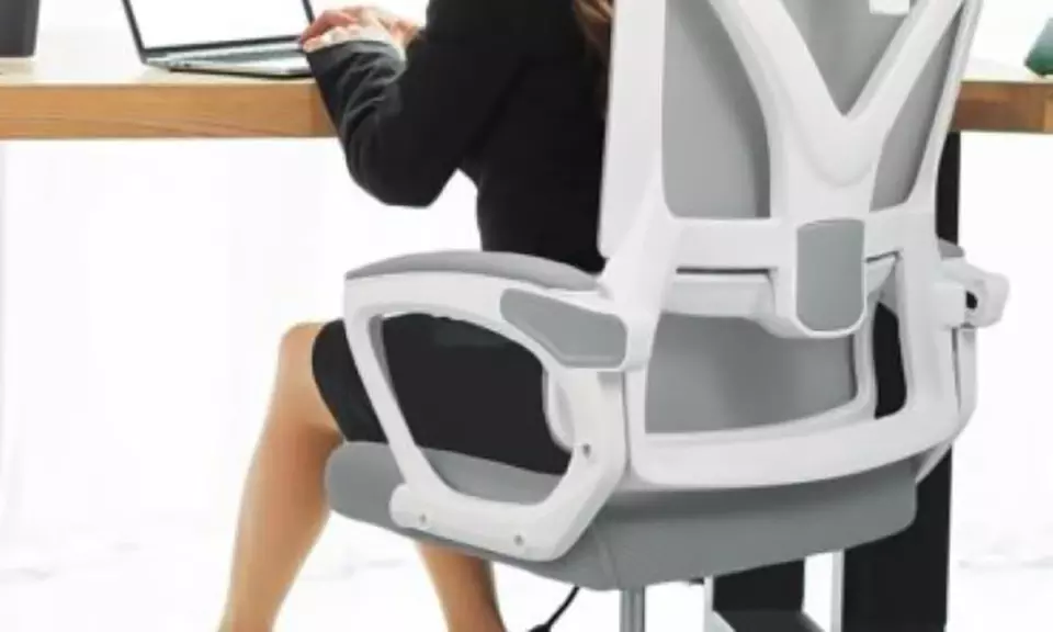 Ergonomic Office Chair with Adjustable Back Support and Headrest
