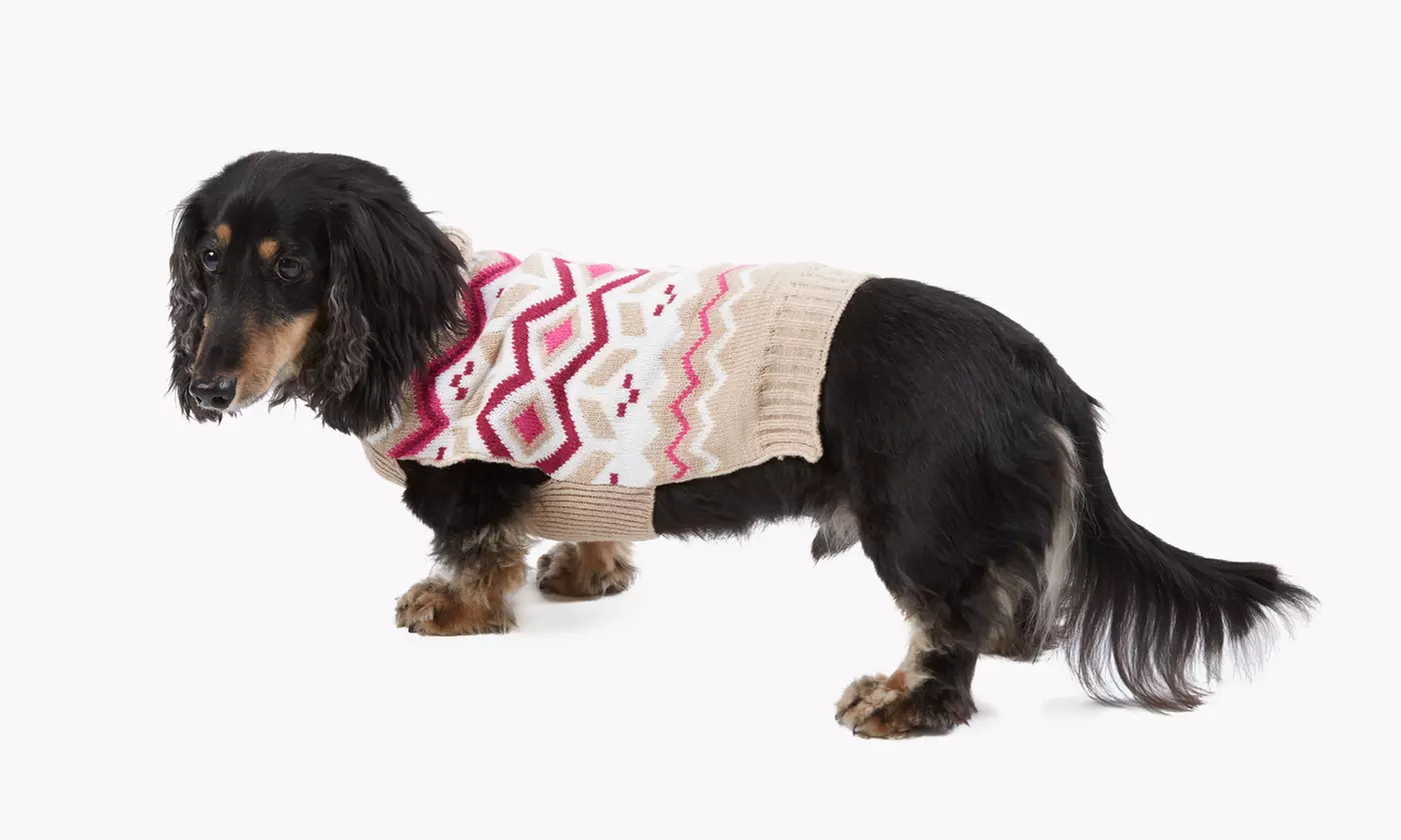 Wag & Bone Fair Isle Pet Sweaters - Primary Image