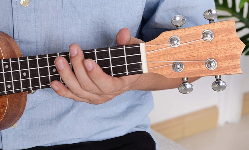 Image 18: Ukulele with Nylon Strings