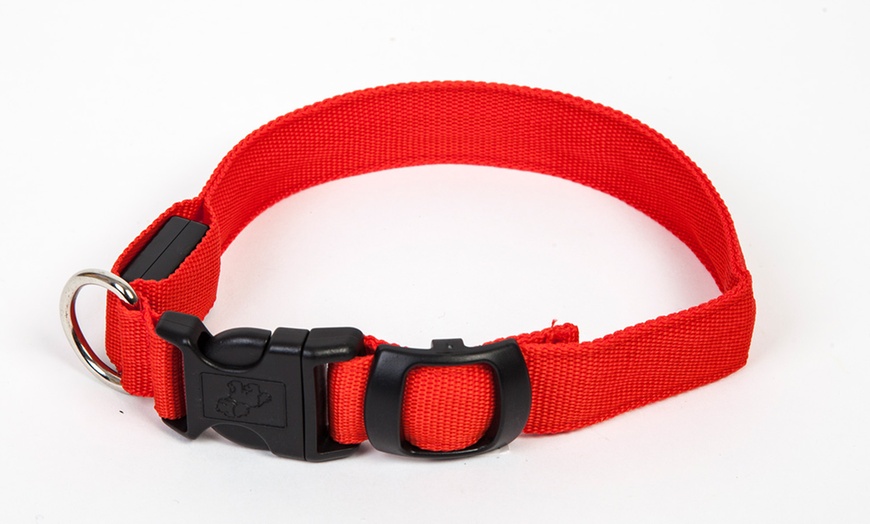 Image 9: LED Dog Collars