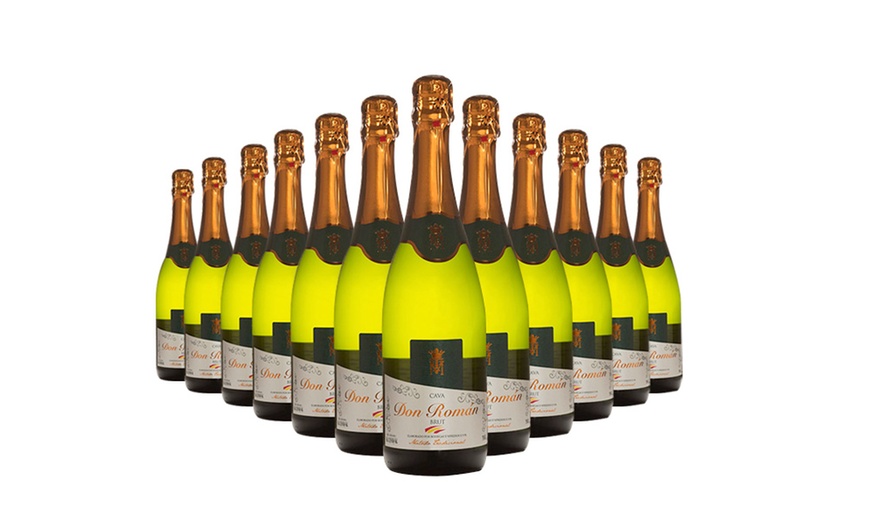 Image 2: 12 Bottles of Cava Brut or Rose