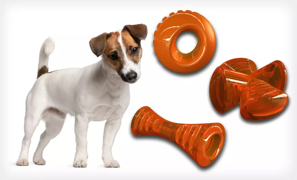 Bionic Dog Toys (Up to 44% Off). Free Shipping for Purchases of $14.99 or More. Free Returns. - Primary Image