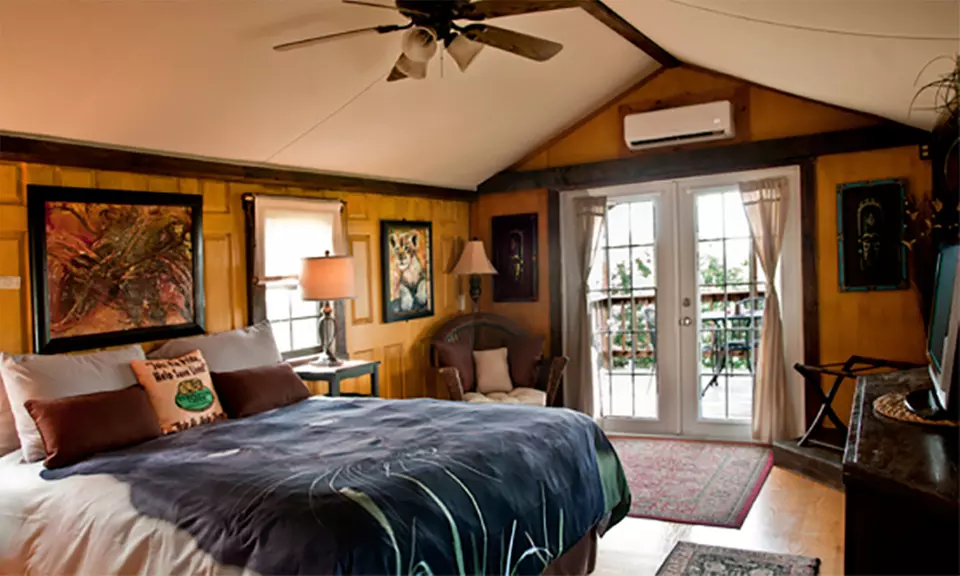 Stay at Turpentine Creek Wildlife Refuge in Eureka Springs, AR. Dates into February 2019. - Primary Image
