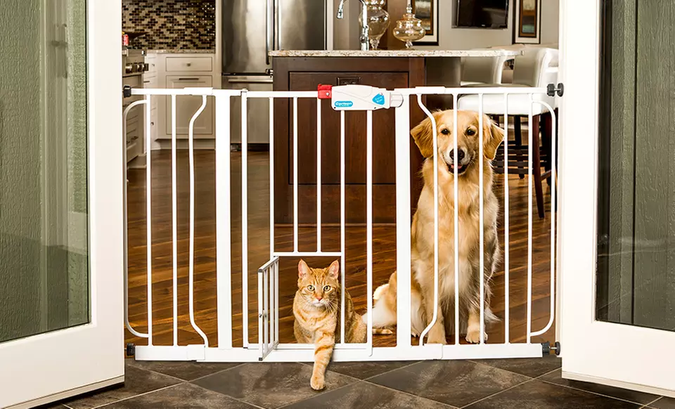 Walk-Through Pet Gate with a Small Swing Door   - Primary Image