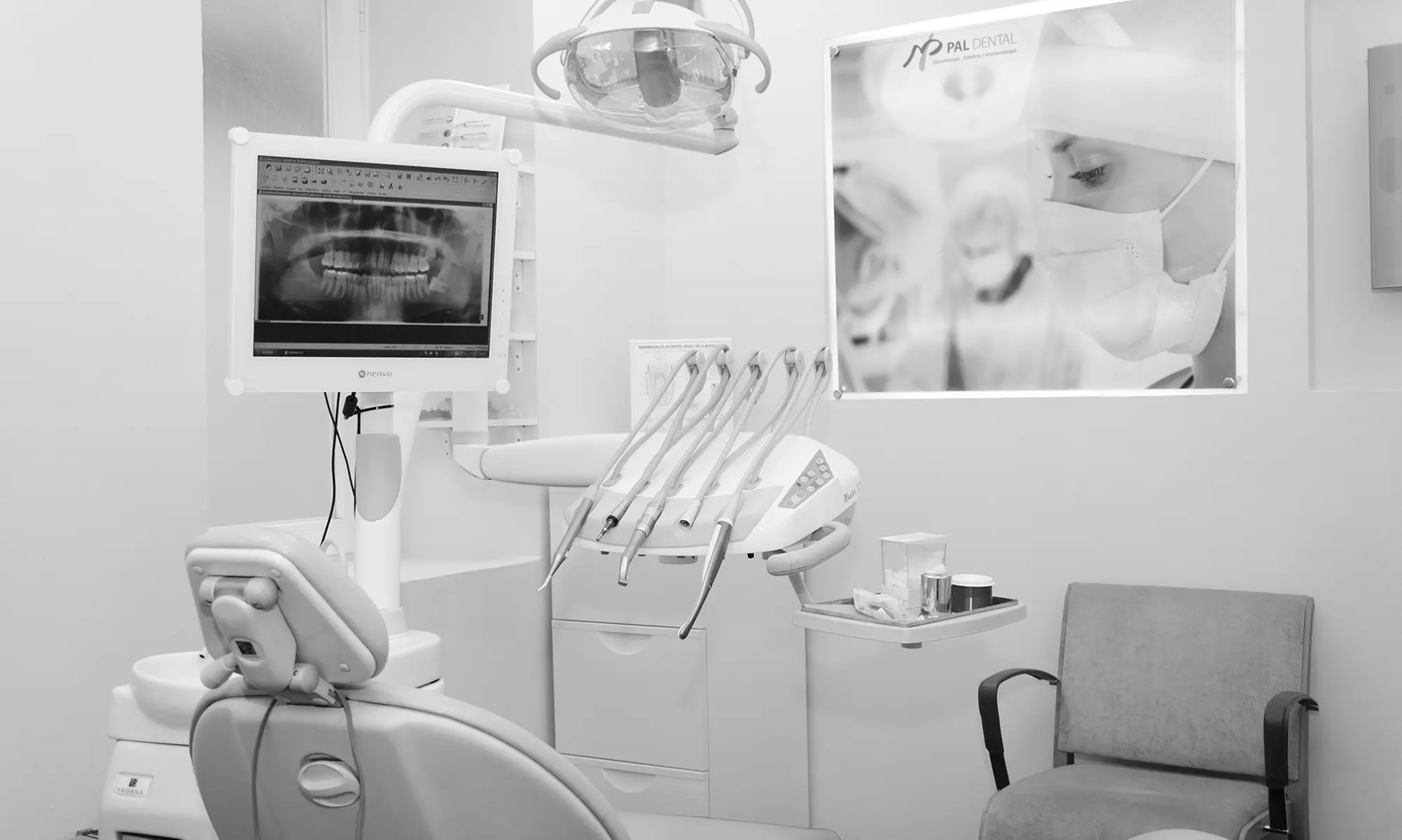 Limpieza dental con revisión