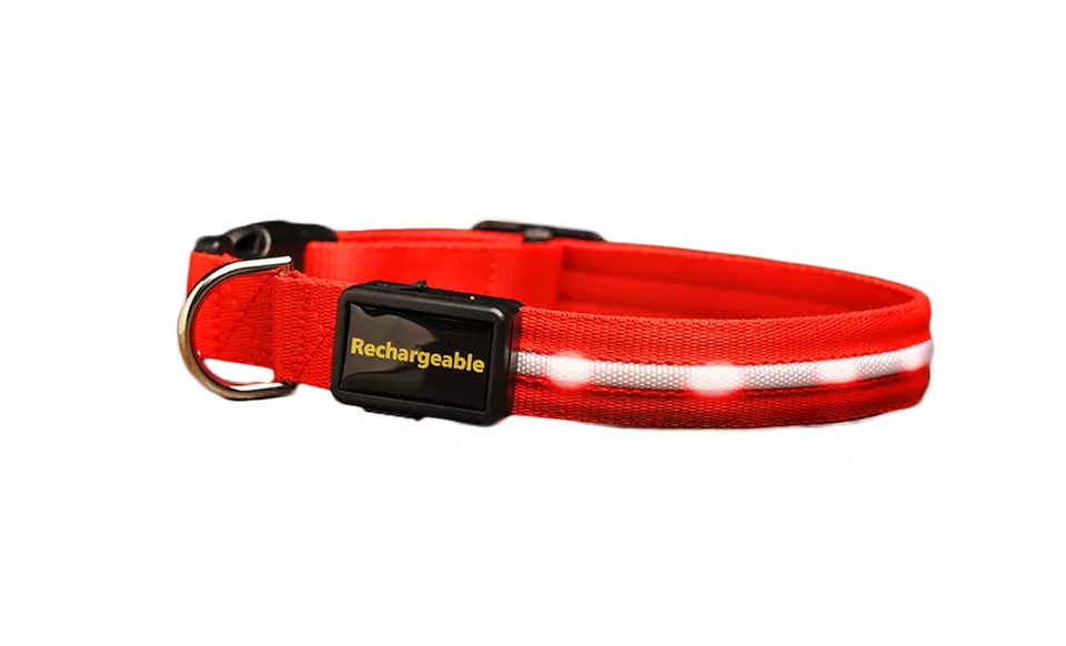 Series 3000 USB Rechargeable LED Dog Collar or Leash from $18.99–$20.99 - Second Medium